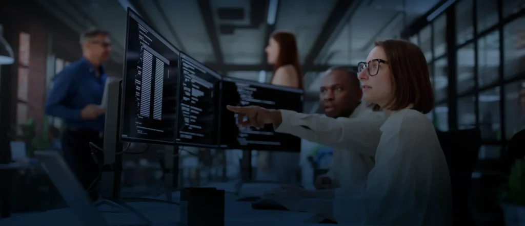 IT Project Management